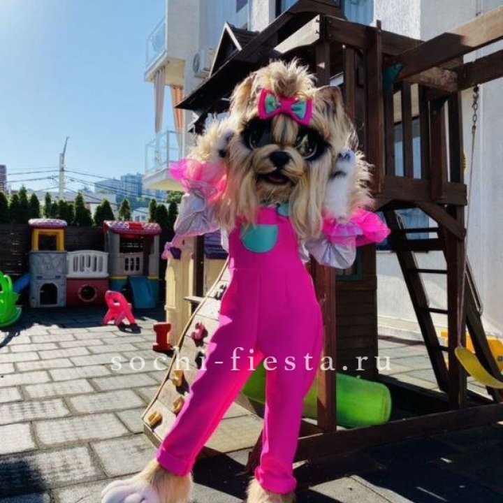 Аниматор Гламурная Собака в Иваново