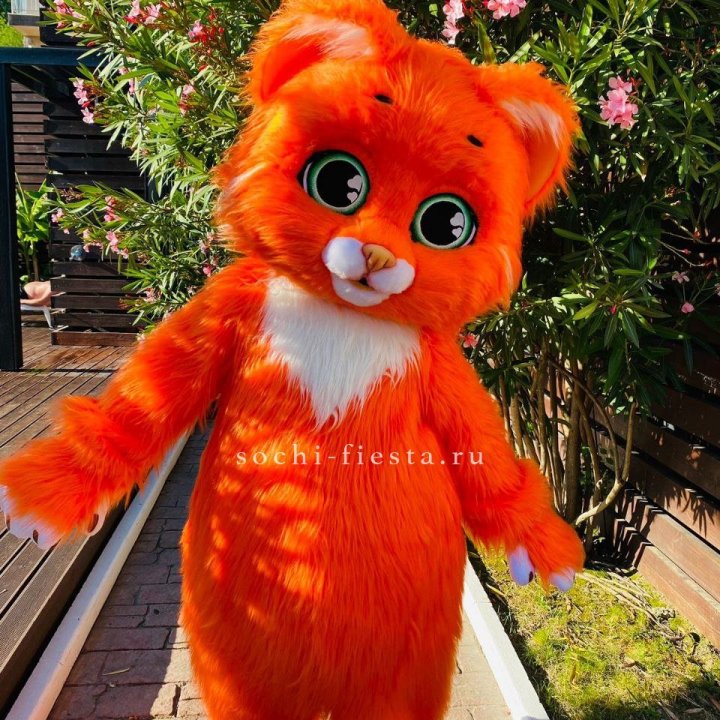 Аниматор Котик в Иваново