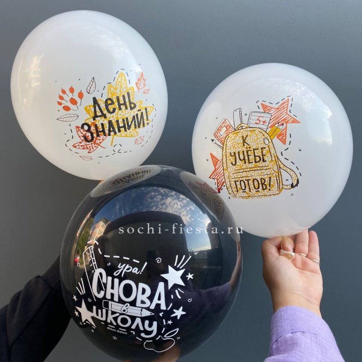 Воздушный шар к 1 сентября в Иваново