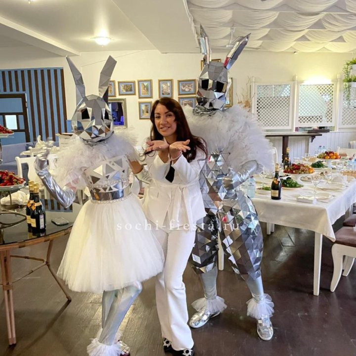 Аниматор Зеркальный заяц в Иваново