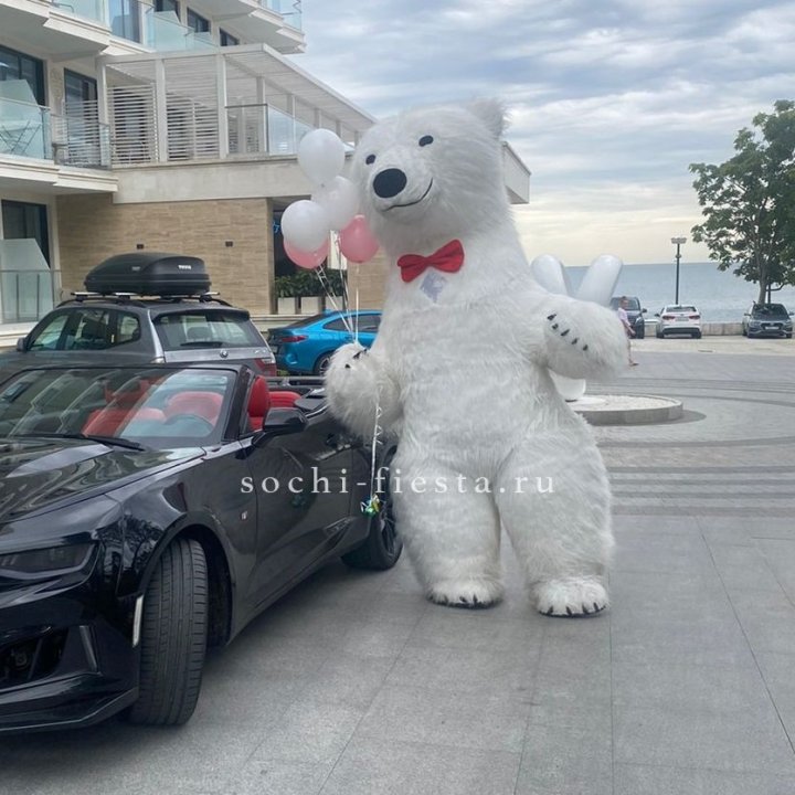 Аниматор Белый Медведь в Иваново