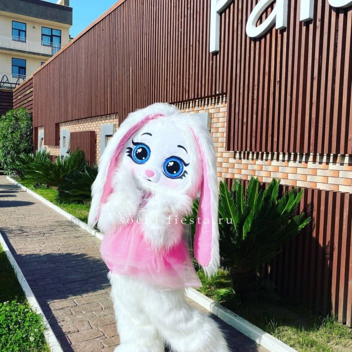 Аниматор Зайка в Иваново