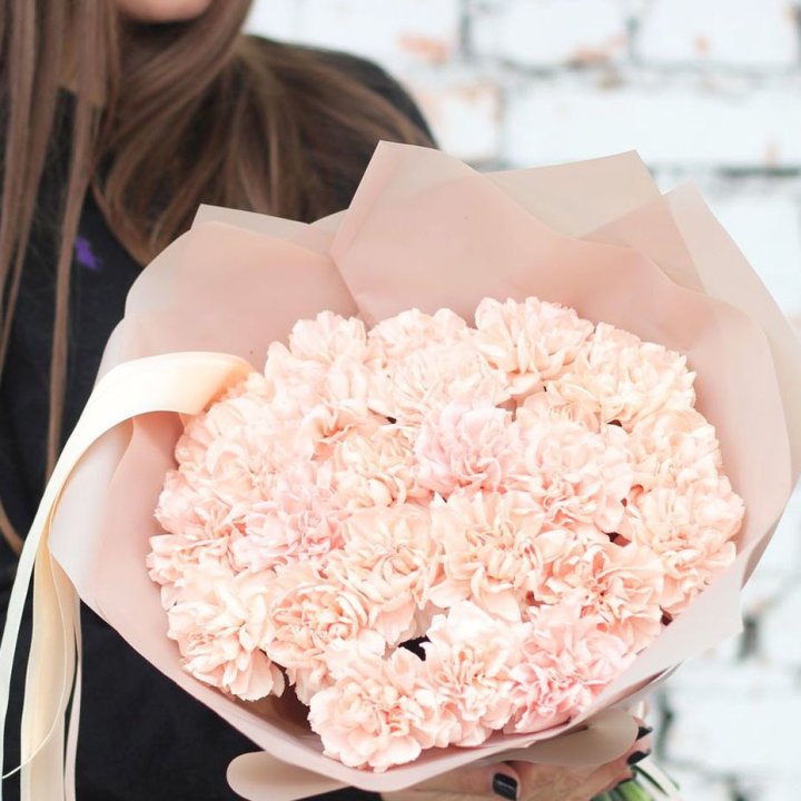 Диантусы №2 в Иваново