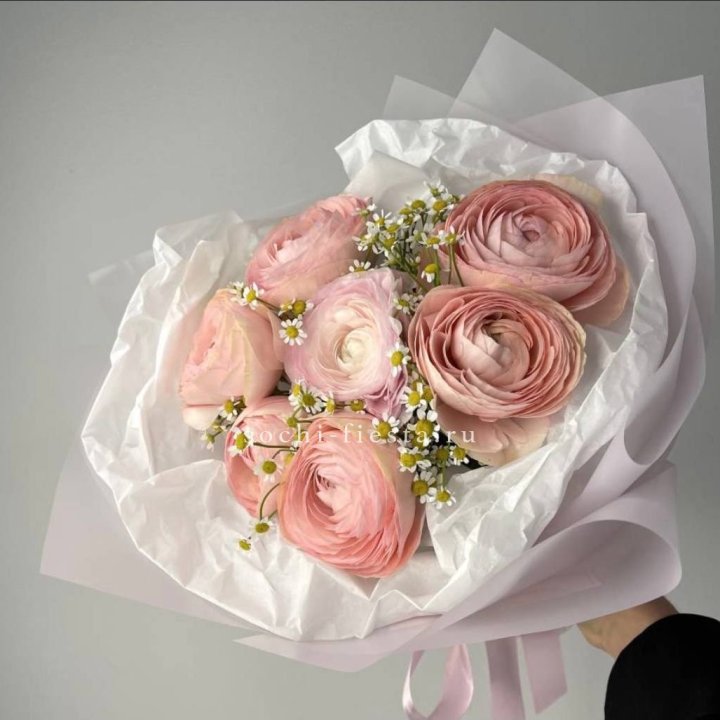 Ранункулюсы с ромашками в Иваново