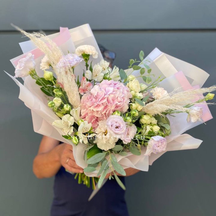 Гортензия "Пинк флоид" в Иваново