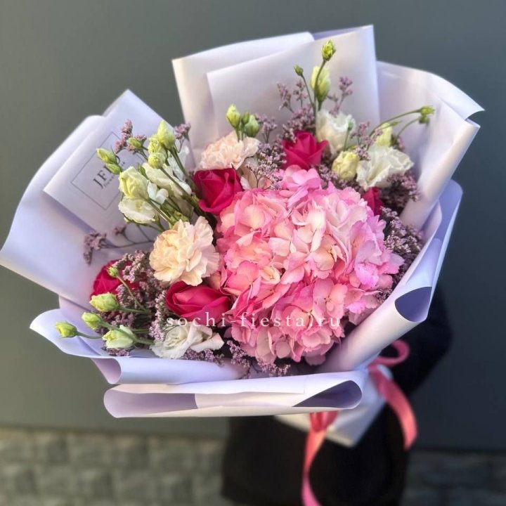 Гортензия "Перпил" в Иваново