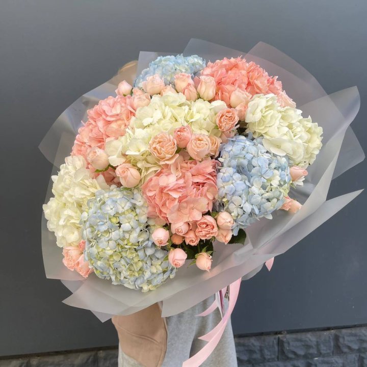 Дуо гортензии и бомбастик в Иваново