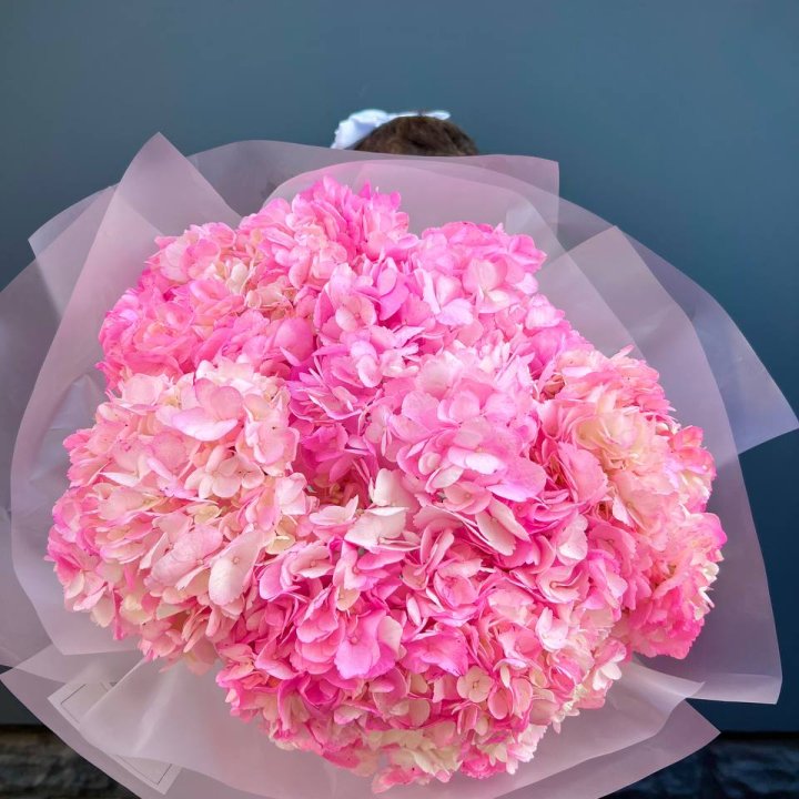 9 ярко розовых гортензий в Иваново