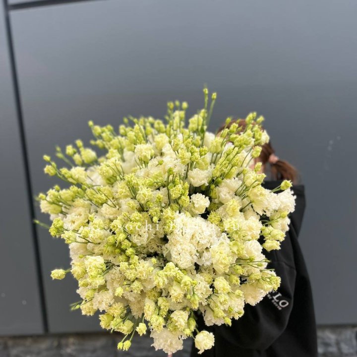 51 белая эустома в Иваново