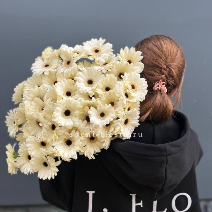 51 гербера в Иваново