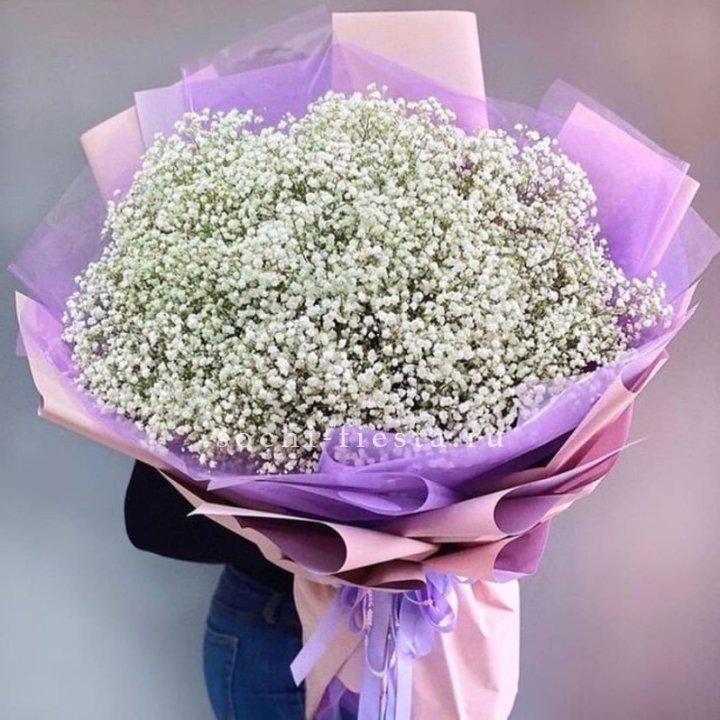 Облако белых гипсофил в Иваново