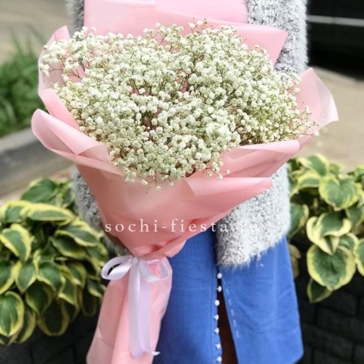 Белоснежные гипсофилы в Иваново