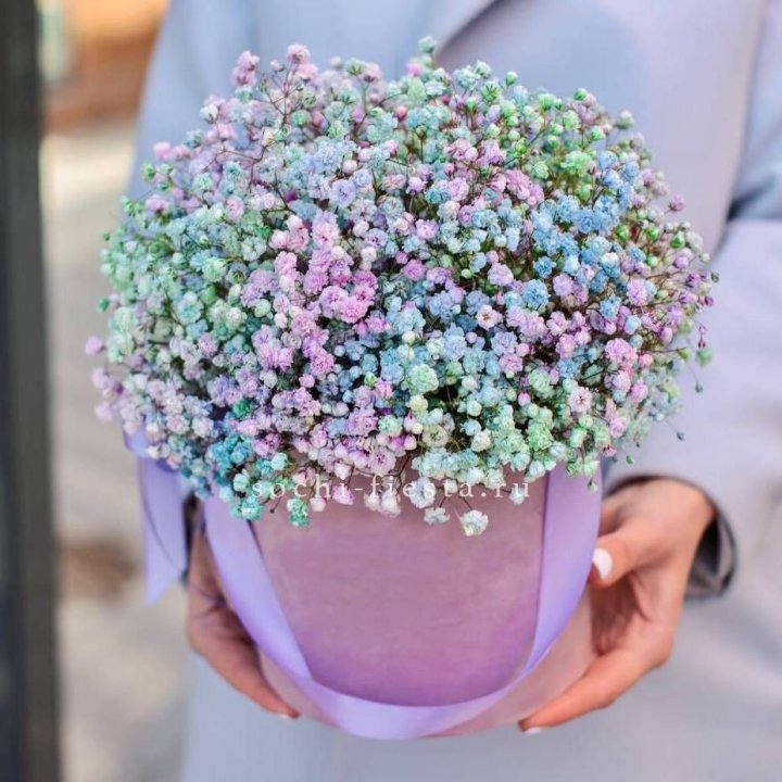 Гипсофилы в шляпной коробке "Кандилайт" в Иваново