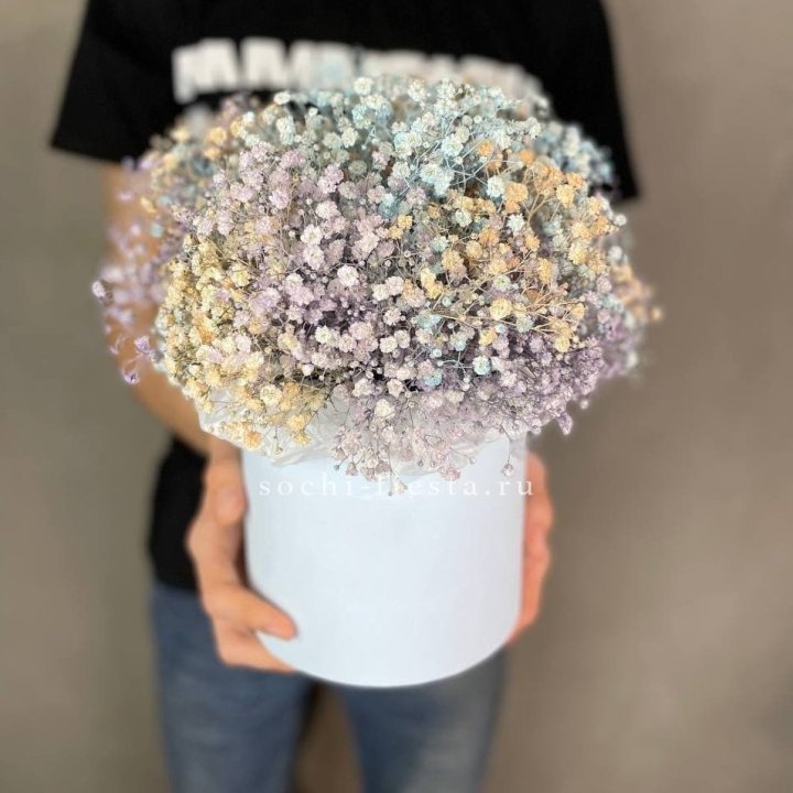 9 Радужных гипсофил в шляпной коробке в Иваново