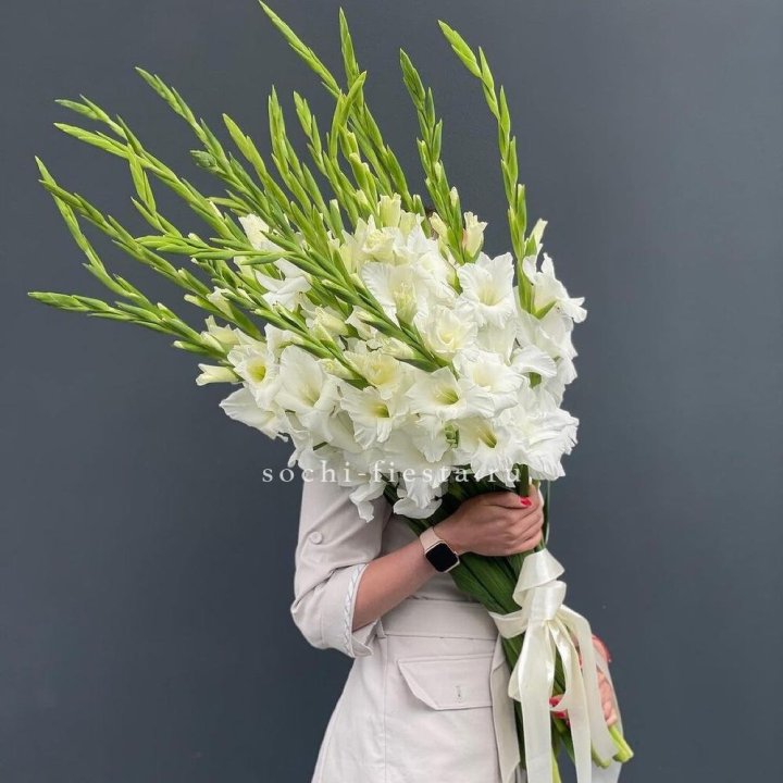 19 белых гладиолусов под ленту в Иваново