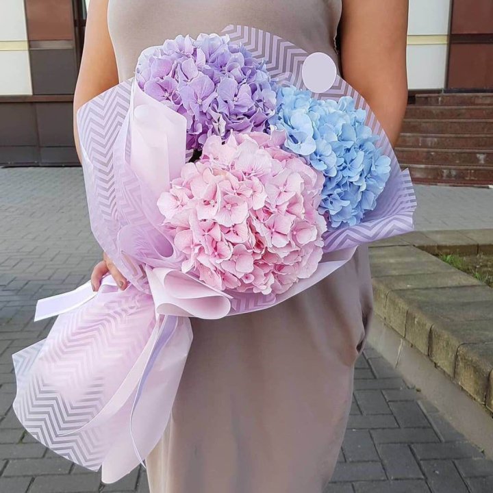 Букет гортензий "Пуф" в Иваново