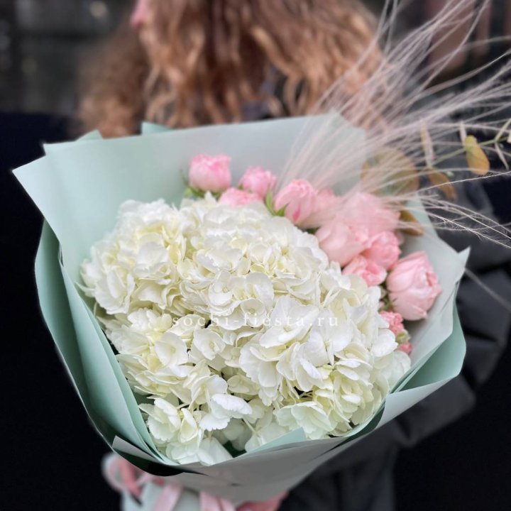 Гортензия "Жасмин" в Иваново