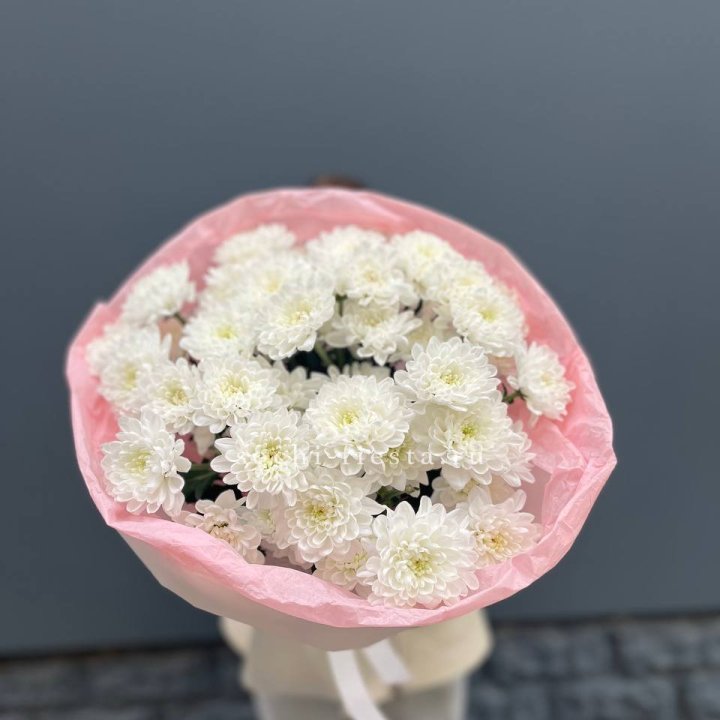  5 хризантем  в Иваново