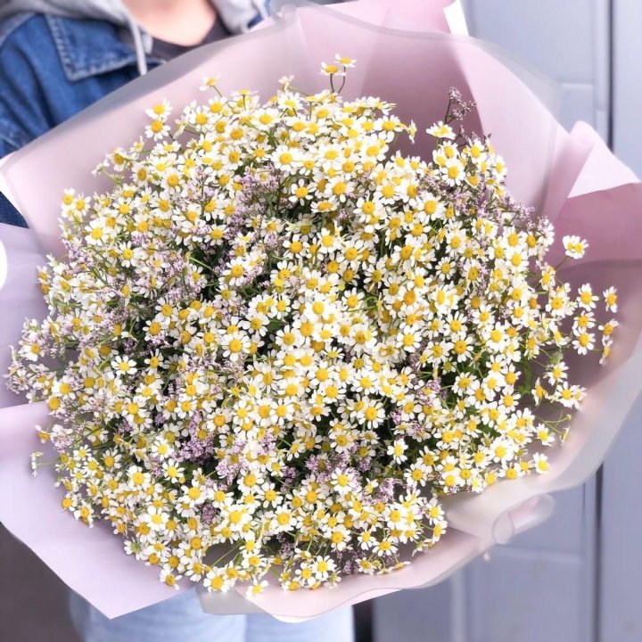 Букет ромашек №1 в Иваново