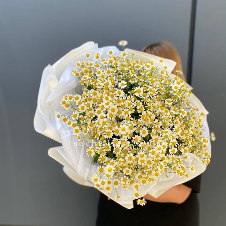 Букет ромашек "Фемели" в Иваново
