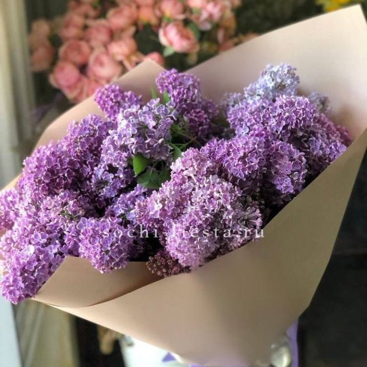 Букет сирени №2 в Иваново