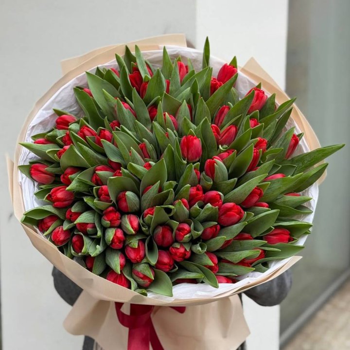 101 красный тюльпан в Иваново