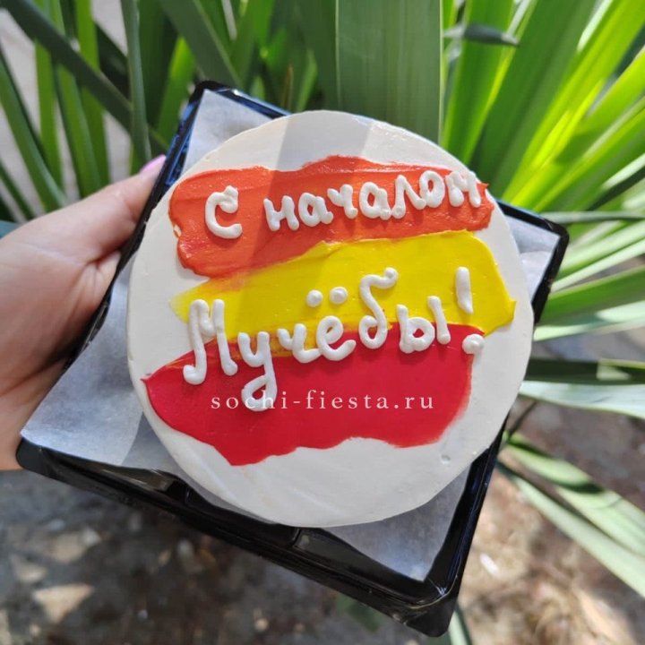 Бенто-торт "С началом учёбы"" в Иваново