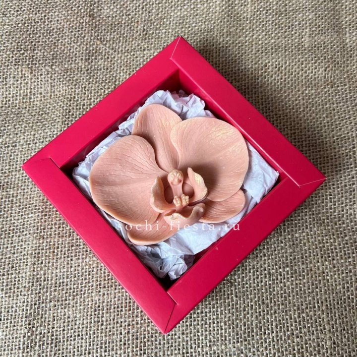 Бельгийский шоколад Орхидея в Иваново