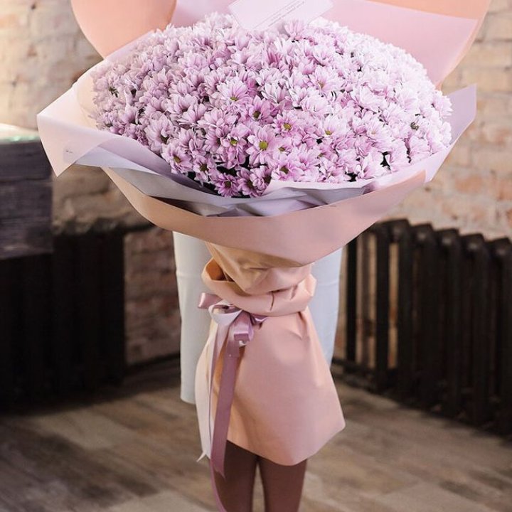 Облако хризантем №1 в Иваново