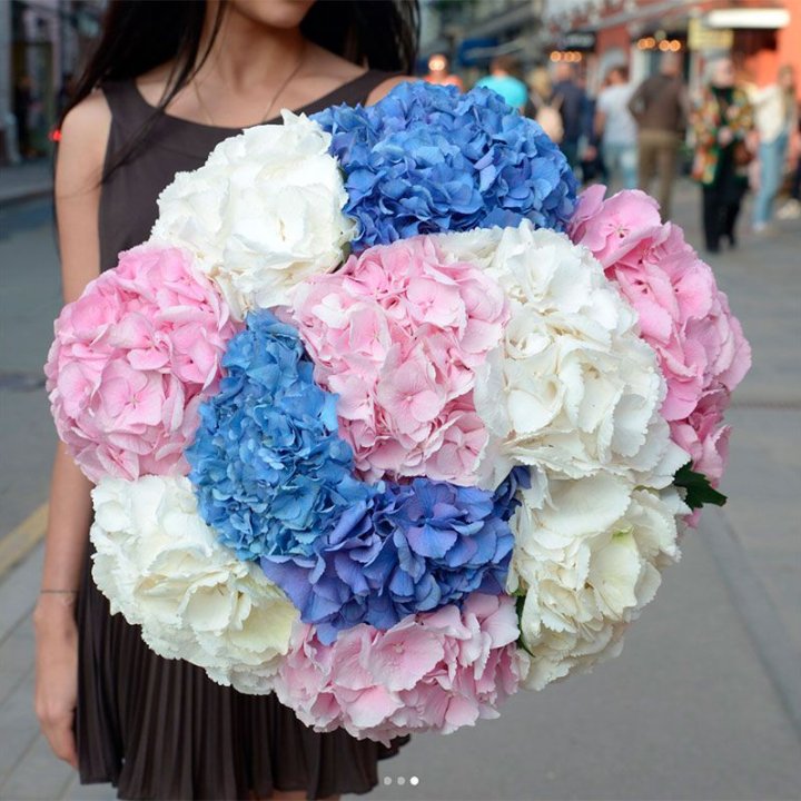 Букет гортензий "Инь-Янь" в Иваново