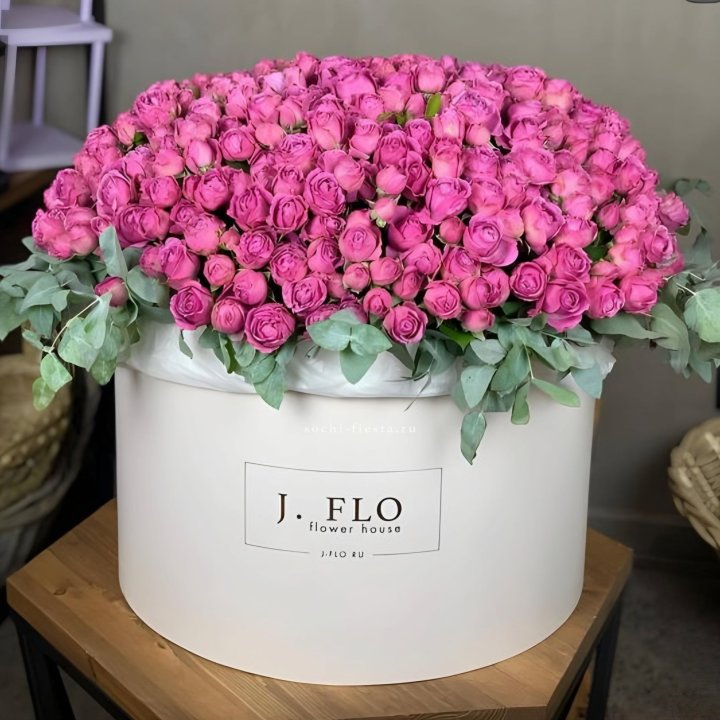 Цилиндр с Мисти Бабблс  в Иваново