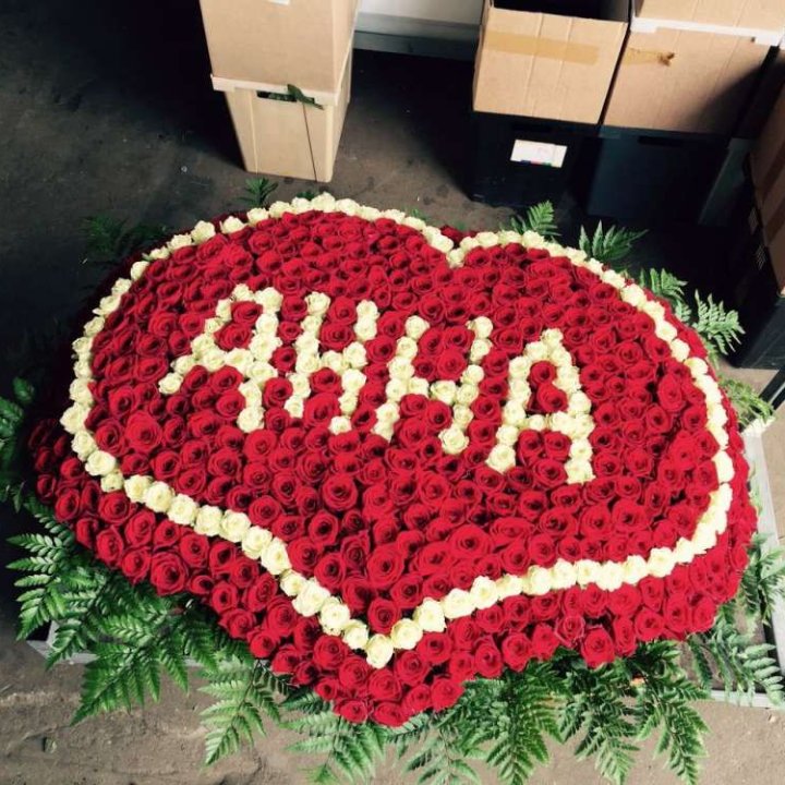 555 роз с именем в Иваново