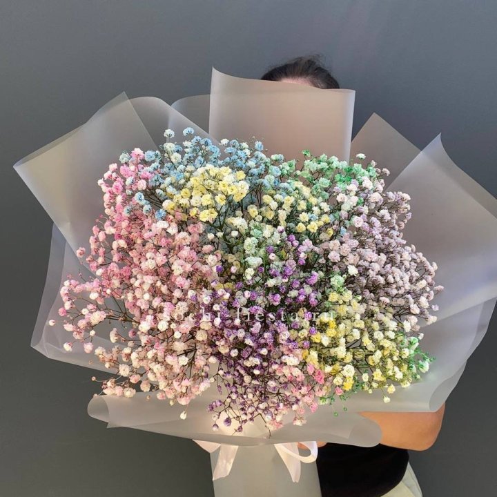 Радужные гипсофилы  в Иваново