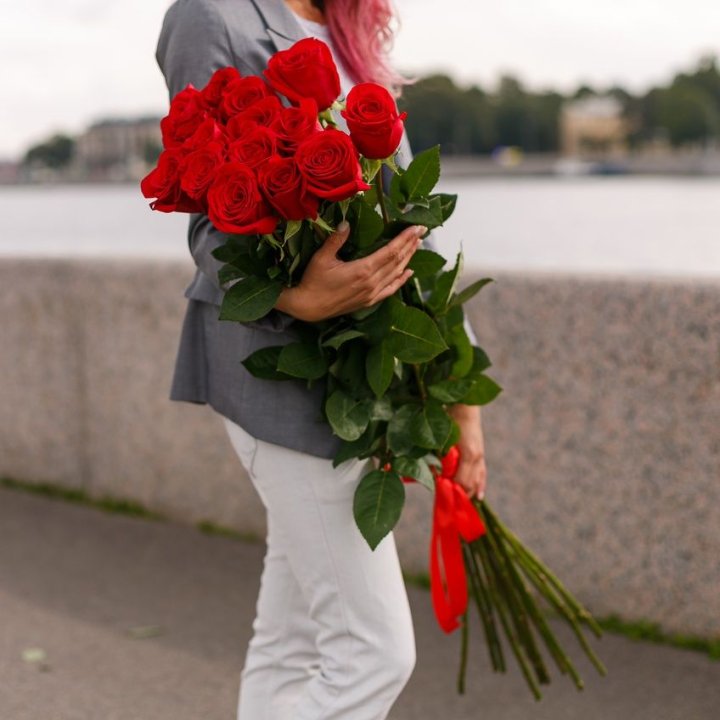 15 метровых голландских роз в Иваново