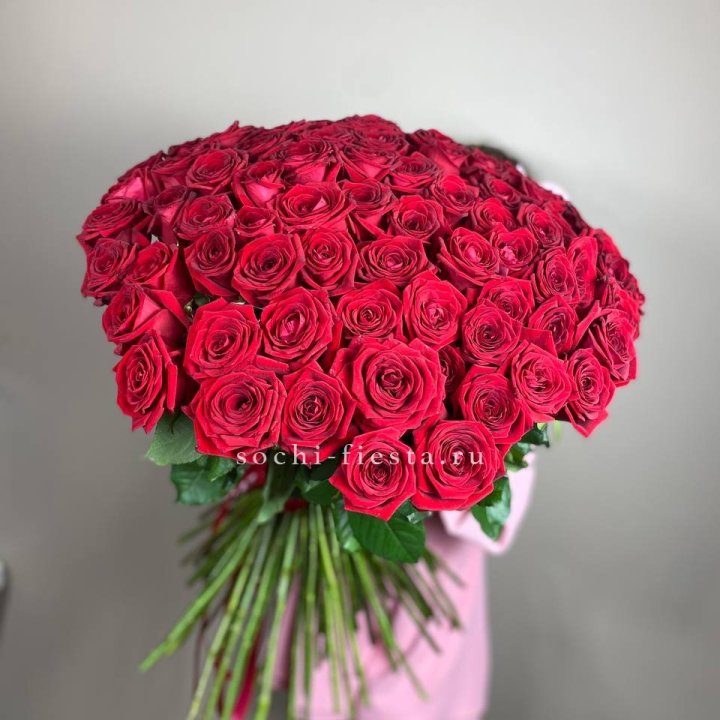 101  голландская роза  в Иваново