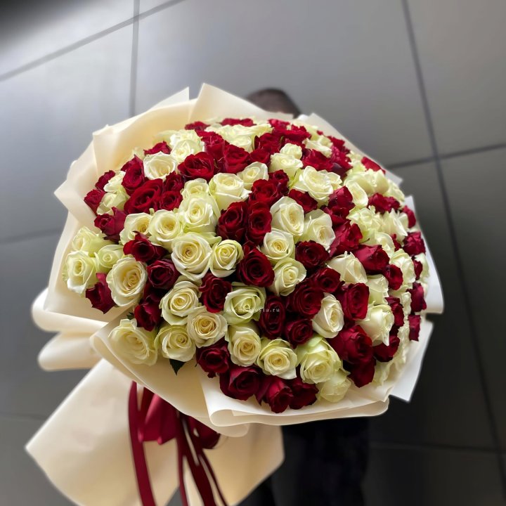 101 высокая импортная роза  в Иваново