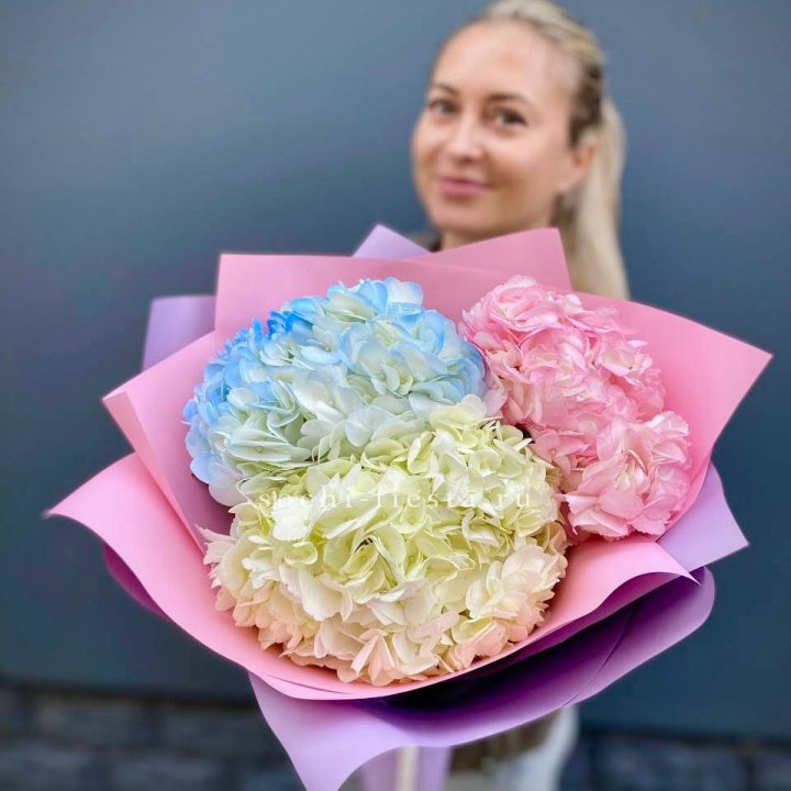 Букет гортензий "Тоника" в Иваново