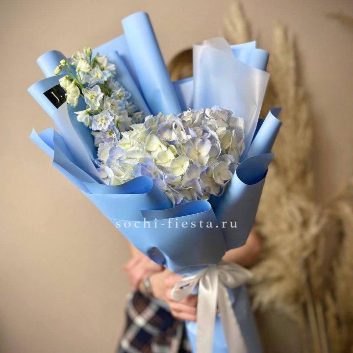 Гортензия "Блю скай" в Иваново