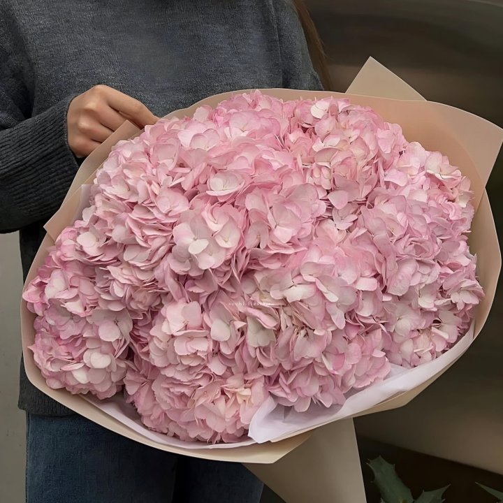 Гортензия  "РОЗЕ" в Иваново