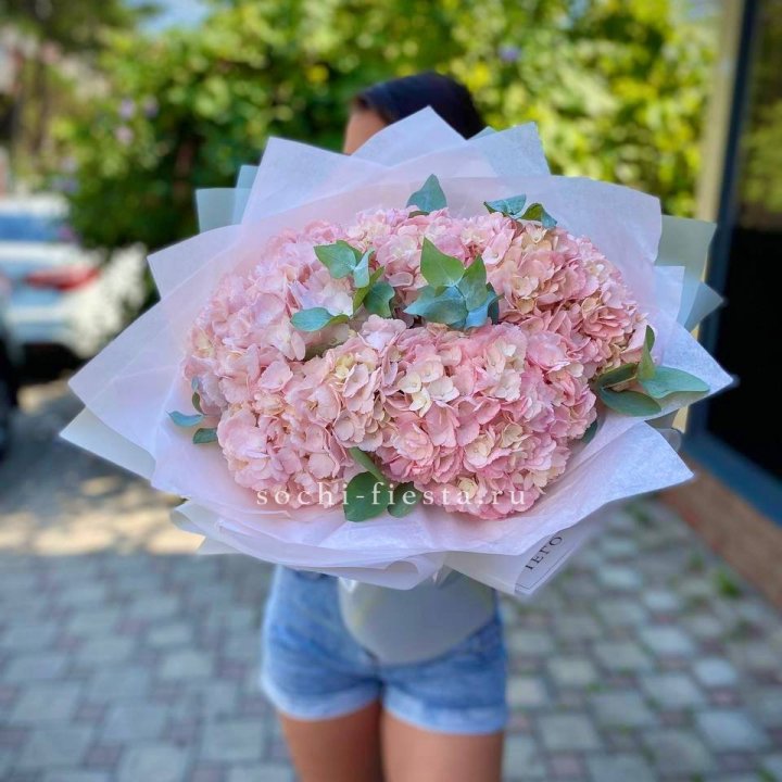 5 розовых гортензий  в Иваново