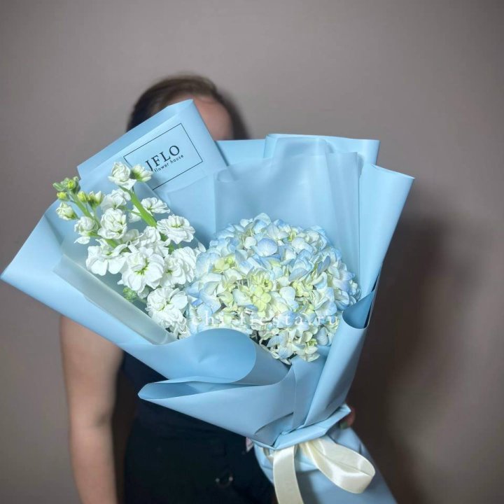 Гортензия голубая с маттиолой в Иваново