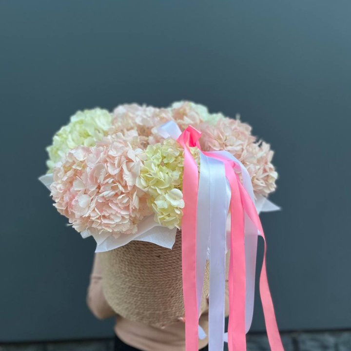 7 гортензий в кашпо в Иваново