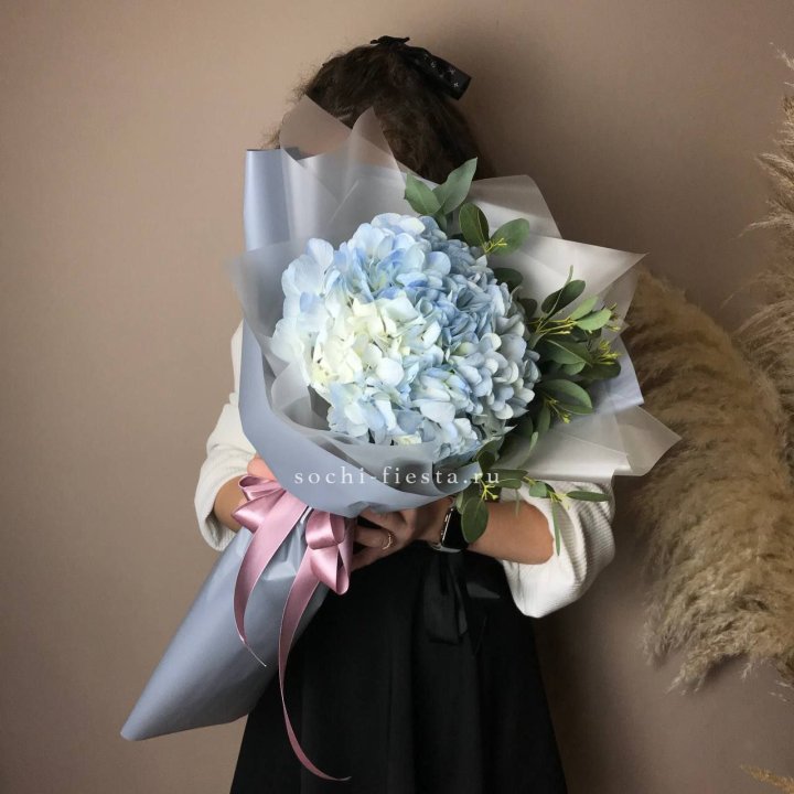 Гортензия Уно в Иваново