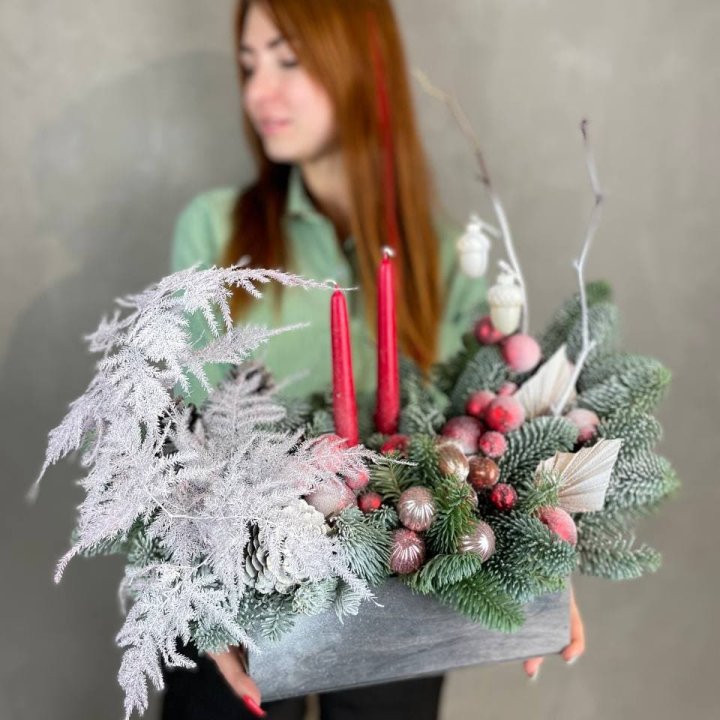 Бокс красный с нобилисом в Иваново