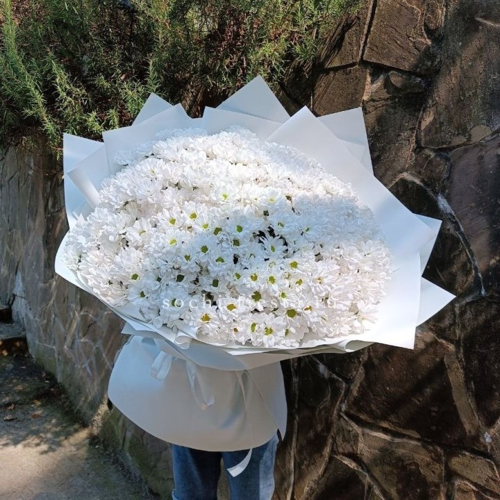 Облако хризантем №2 в Иваново