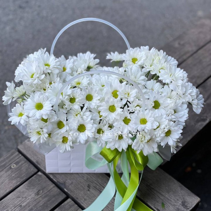 Сумка с хризантемами ромашками в Иваново