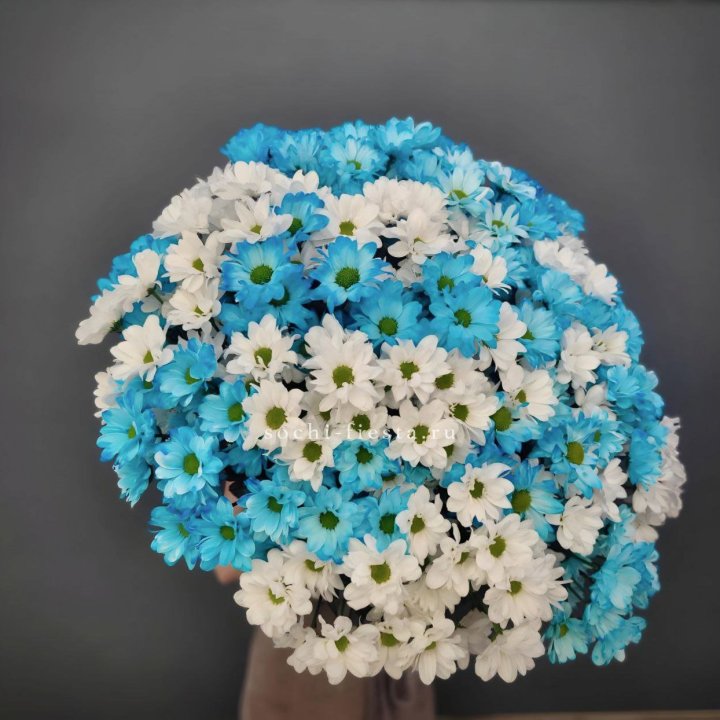  Букет хризантем микс в Иваново