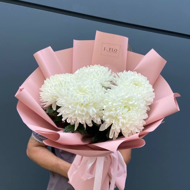 Профитроли №2 в Иваново