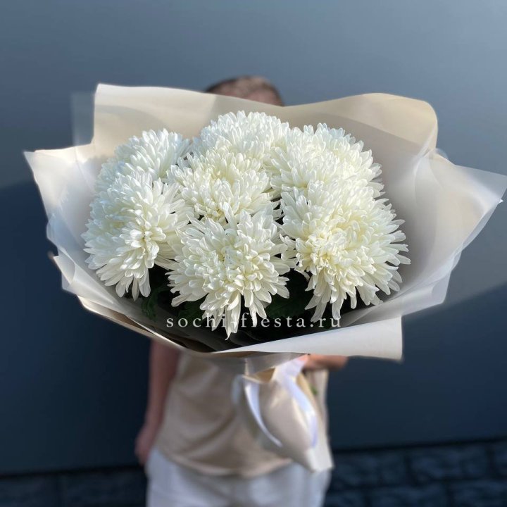 Профитроли в Иваново