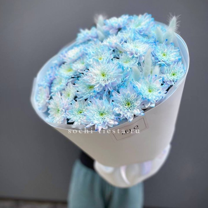  Букет нежно-голубых хризантем  в Иваново